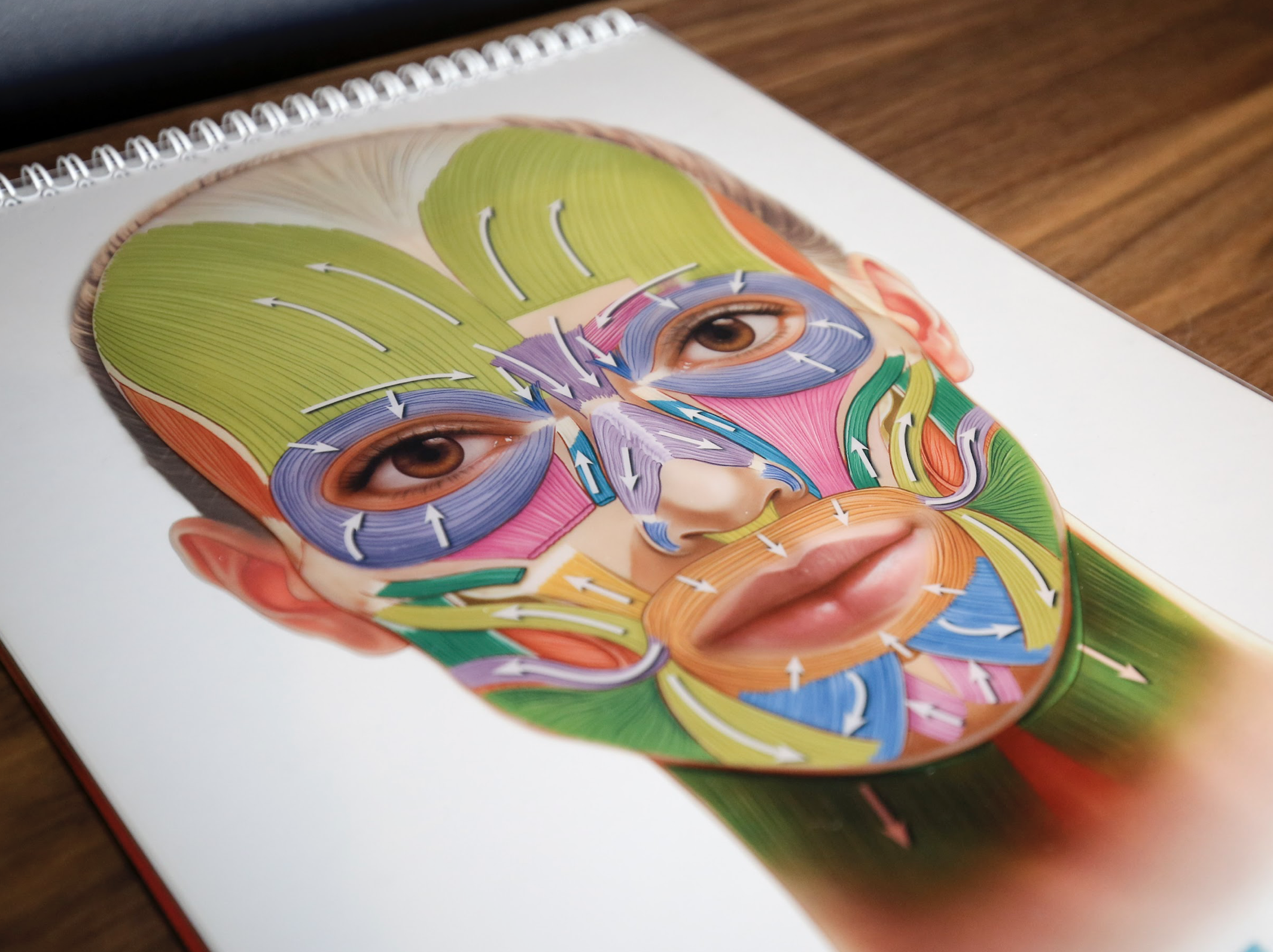A colorful, detailed sketch of a human face with collagen-stimulating injections, divided into multiple sections with various patterns, displayed in a spiral notebook on a wooden table.